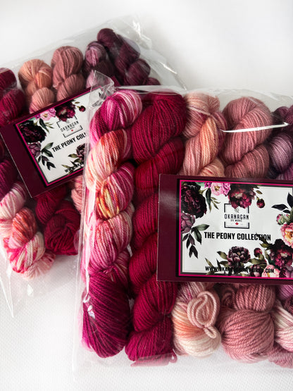 Peony Collection - Ruffled Sunset - Mini 6 Pack - 25 gram skeins - Okanagan Dye Works