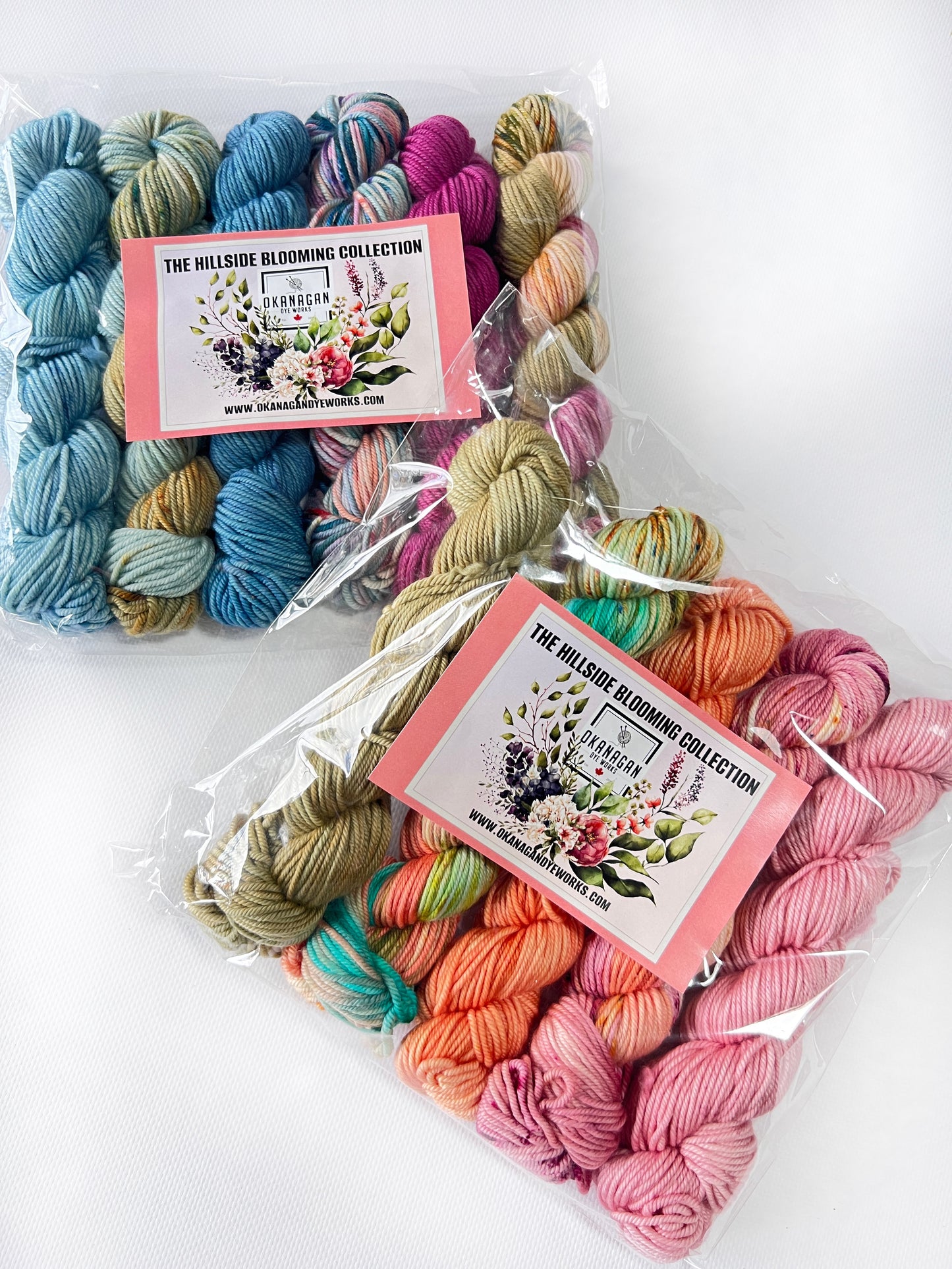 King Edward Lake - 50 gram skein - 11 pack - Worsted - Okanagan Dye Works