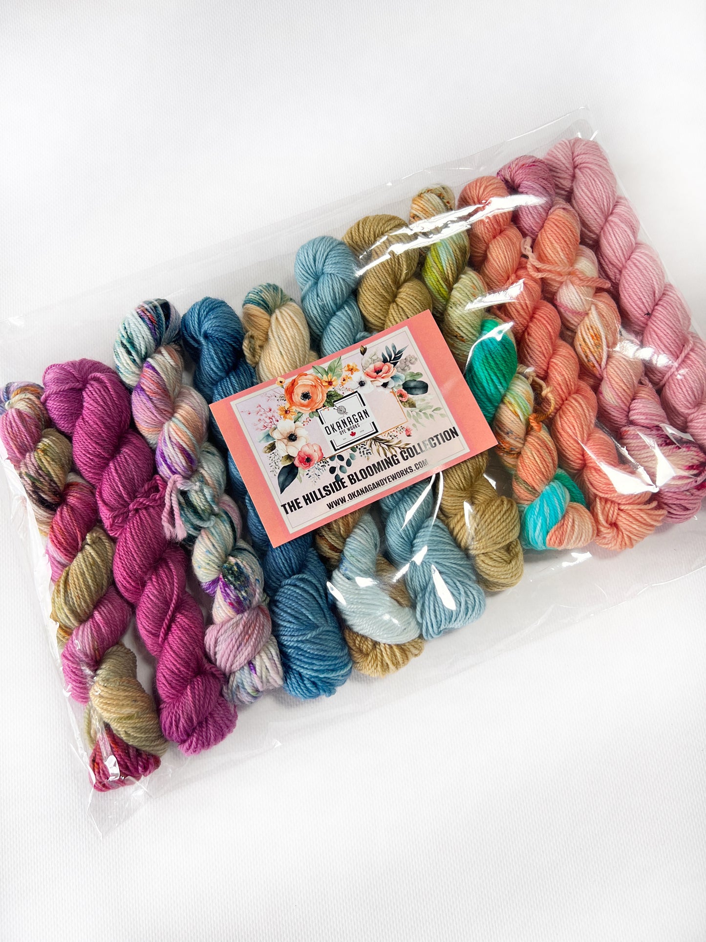 King Edward Lake - 50 gram skein - 11 pack - Worsted - Okanagan Dye Works