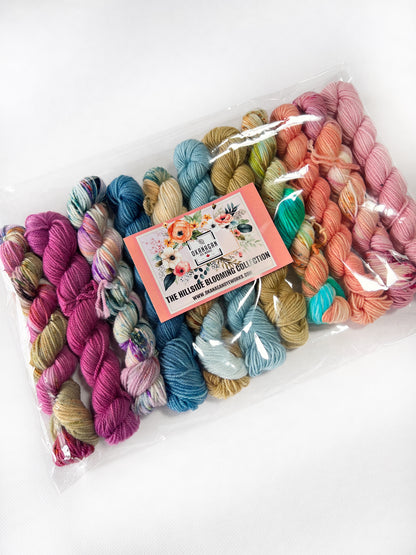 King Edward Lake - 50 gram skein - 11 pack - Worsted - Okanagan Dye Works