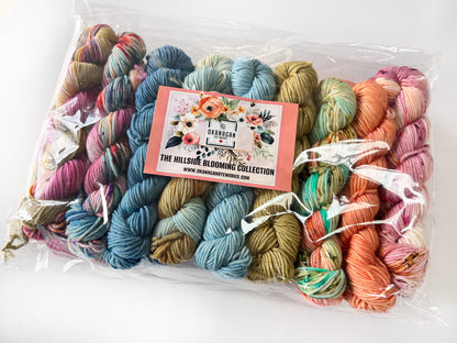 King Edward Lake - 50 gram skein - 11 pack - Worsted - Okanagan Dye Works